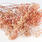 Gypsophile stabilisé - botte - Pink Rainbow