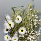 Bouquet de fleurs séchées vert blanc