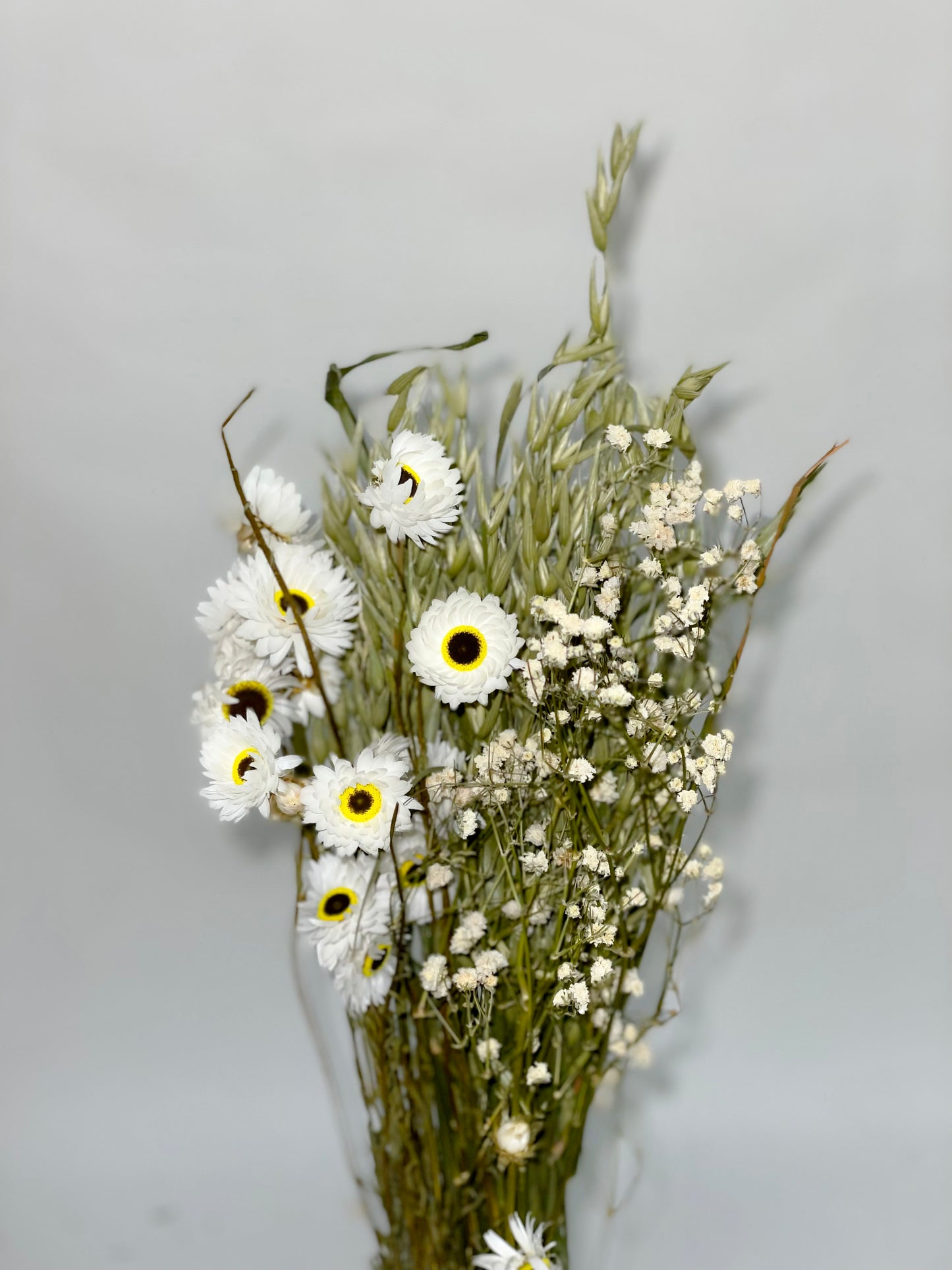 Bouquet de fleurs séchées vert blanc