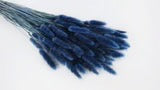 Cobalt Blue Dried Lagurians