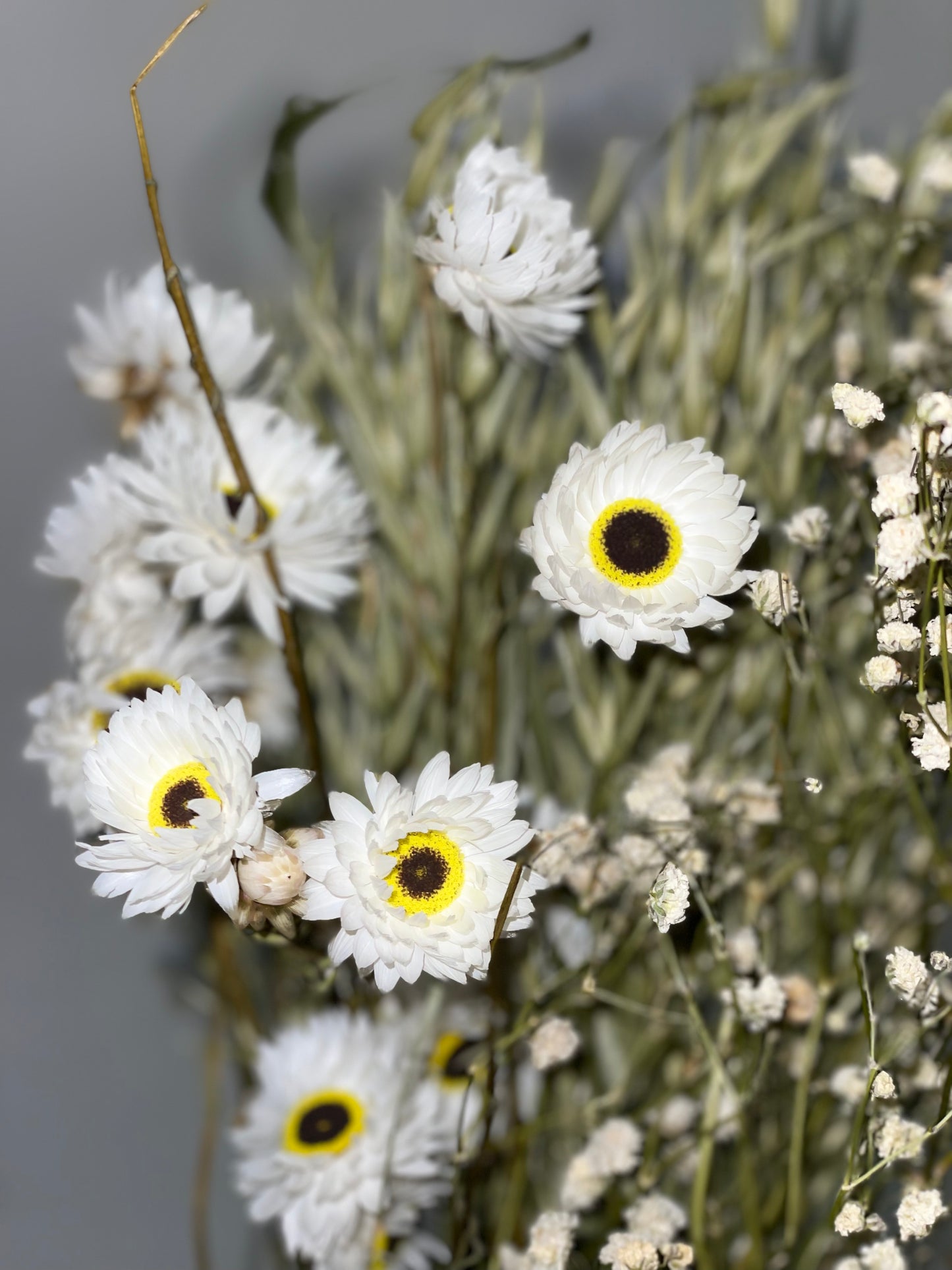 Bouquet de fleurs séchées vert blanc