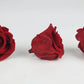 Roses stabilisées 5 cm - 6 têtes - Rouge clair