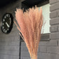 Miscanthus séché couleur naturelle 70 cm