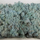 Lichen stabilisé Bleu 5 Kg PRO