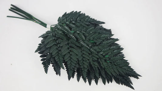 Green stabilized leather fern - bundle of 6 stems