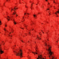 Lichen stabilisé Rouge 5 Kg PRO