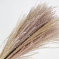 Miscanthus séché couleur naturelle 70 cm