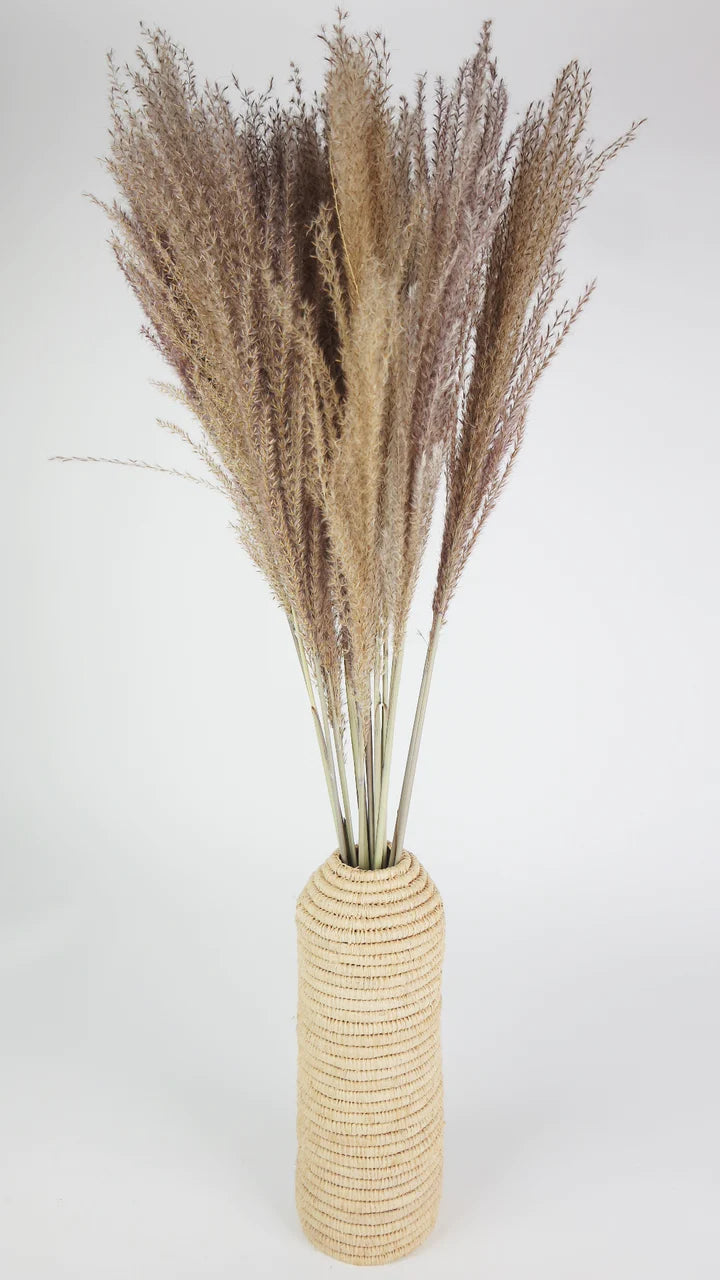 Miscanthus séché couleur naturelle 70 cm