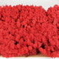 Lichen stabilisé Rouge 5 Kg PRO