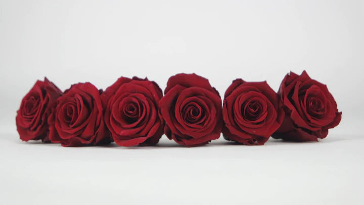 Roses stabilisées 5 cm - 6 têtes - Rouge foncé